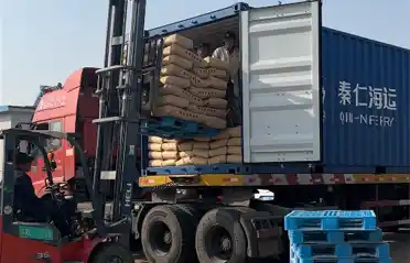 Perché gli acquirenti sudcoreani importano la fecola di patate dolci da Lulong? Uno sguardo al processo di carico e spedizione presso l'industria della patata di Tongyou