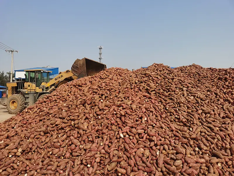 200g Bag Food Grade Sweet Potato Starch